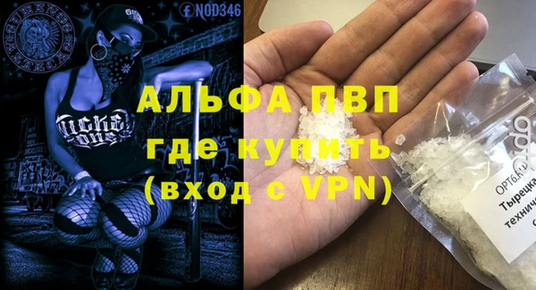 сатива Михайловка