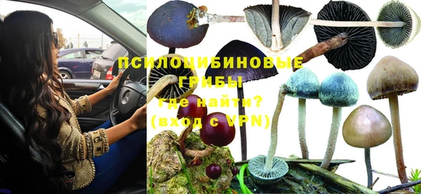 таблы Алексеевка