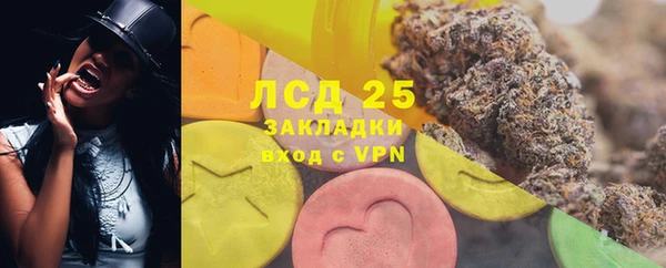 прущие грибы Михайлов