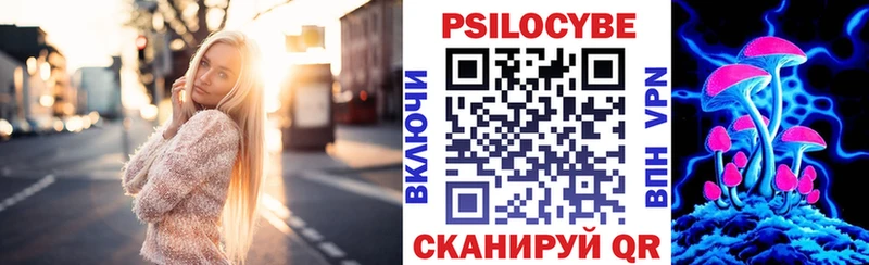 мега вход  где продают   Люберцы  Псилоцибиновые грибы Psilocybine cubensis 